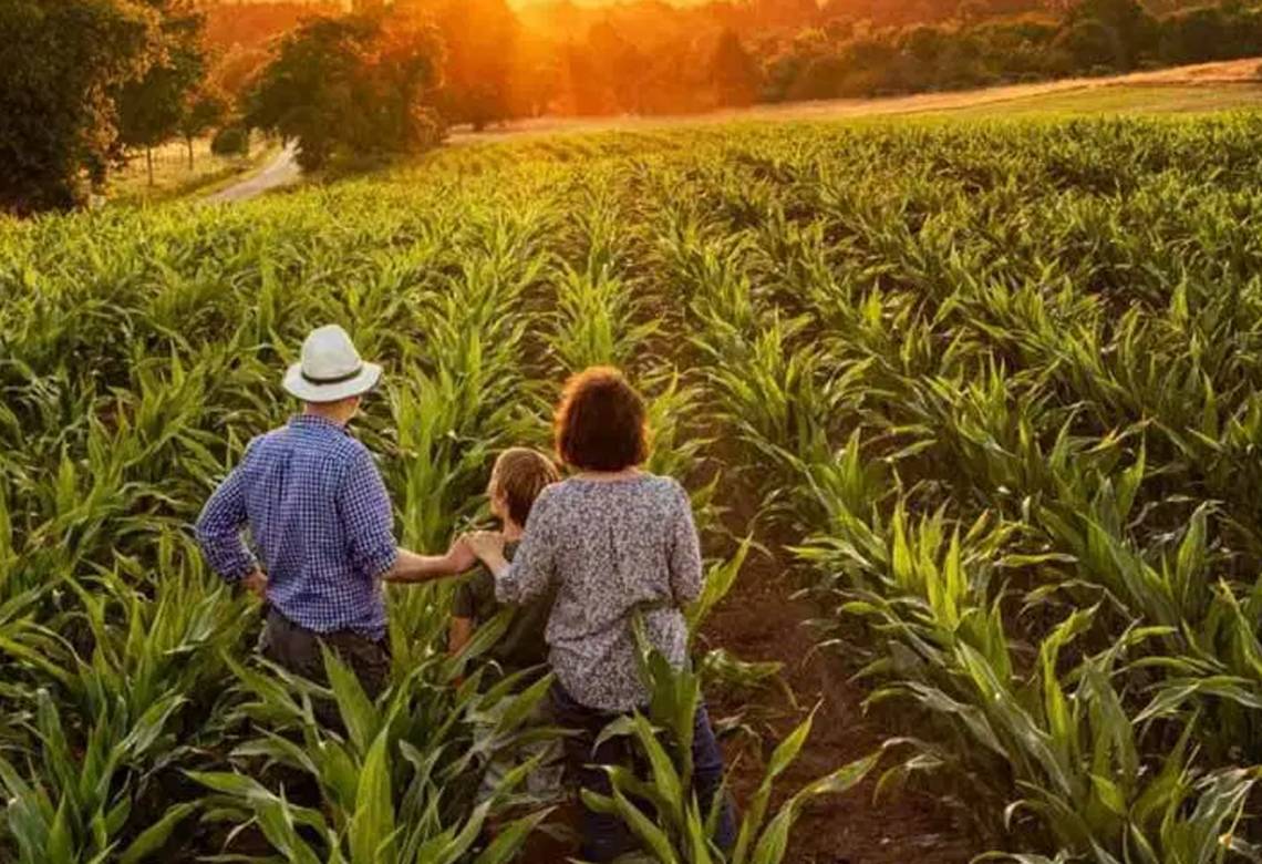 PRONAF E A AGRICULTURA FAMILIAR