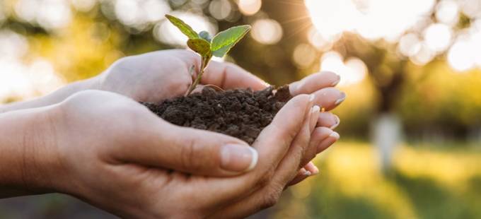 5 princípios do direito ambiental que você precisa conhecer