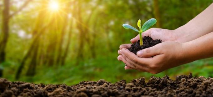 DECRETO 9.760/2019 E AS MULTAS AMBIENTAIS: AS PRINCIPAIS MUDANÇAS NO PROCESSO ADMINISTRATIVO AMBIENTAL