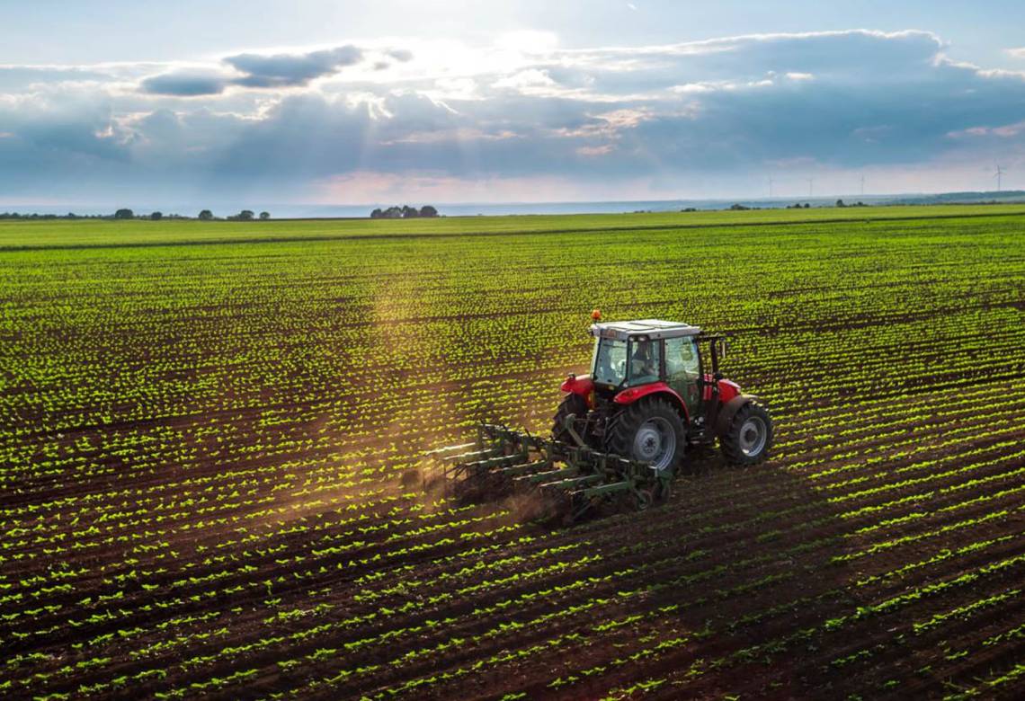 A IMPORTÂNCIA DA PREVENÇÃO DA RESPONSABILIDADE AMBIENTAL