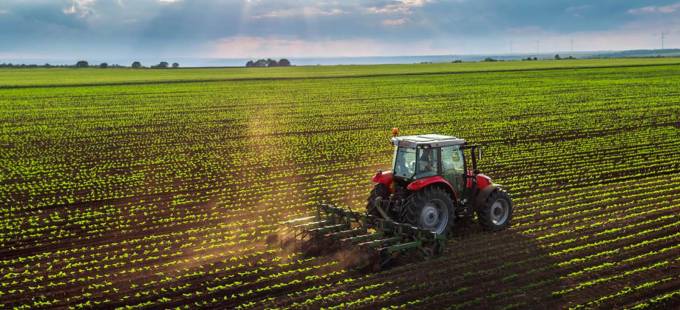 A IMPORTÂNCIA DA PREVENÇÃO DA RESPONSABILIDADE AMBIENTAL