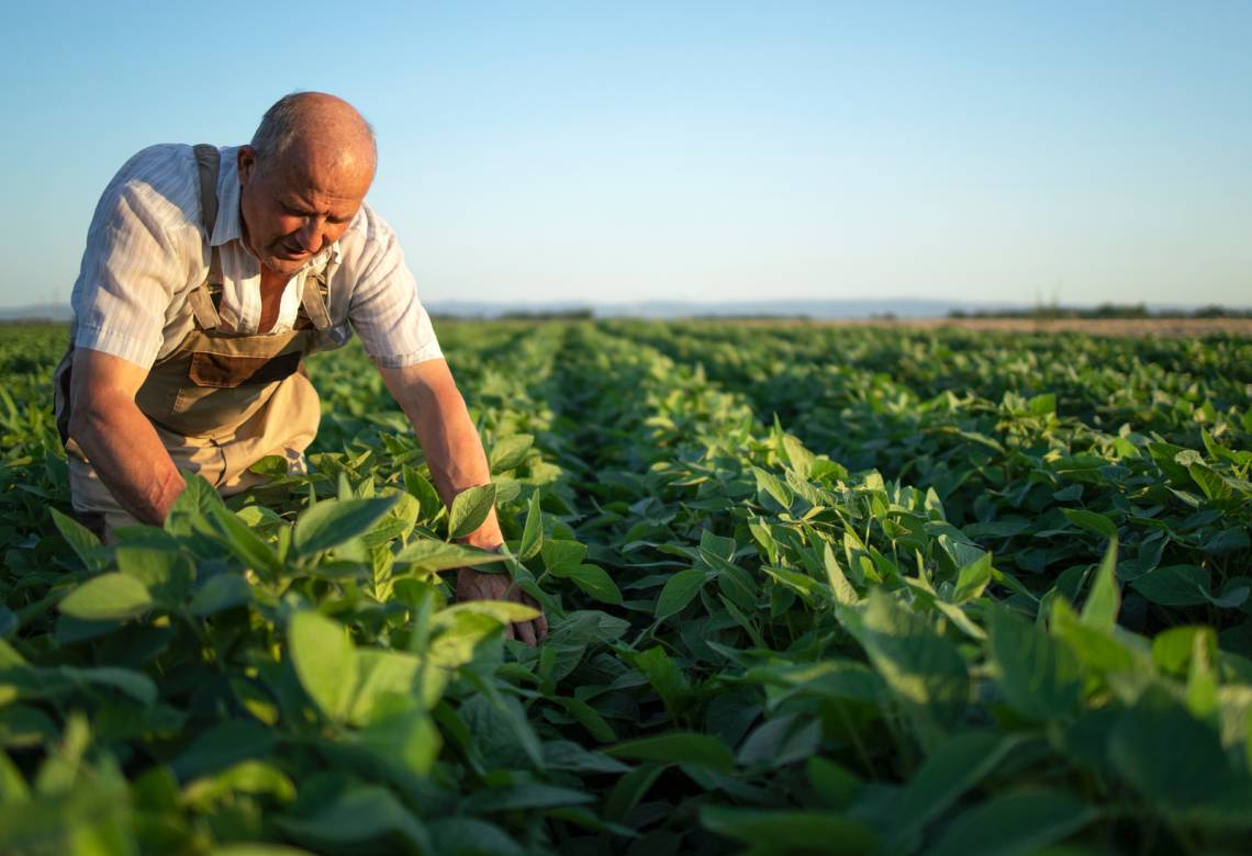 QUEM SÃO OS TRABALHADORES RURAIS PARA O INSS?