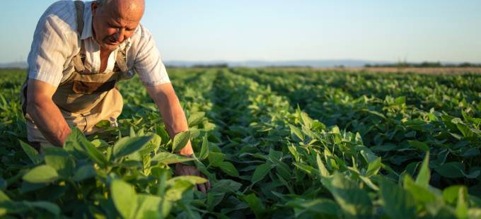 QUEM SÃO OS TRABALHADORES RURAIS PARA O INSS?