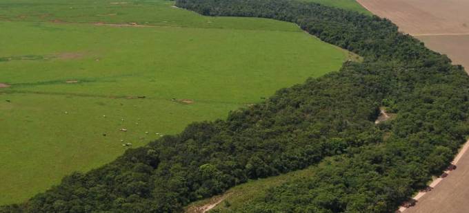 As áreas consolidadas em área de preservação permanente e o prazo para adesão ao PRA (Programa de Regularização Ambiental) 