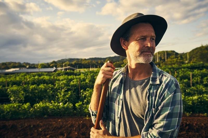 ENTENDA ALGUMAS DAS PRINCIPAIS NOVIDADES DA MP DO AGRONEGÓCIO