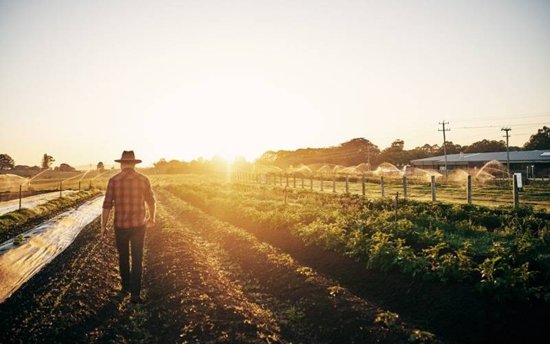 Por que o direito ambiental é importante para os dias de hoje?