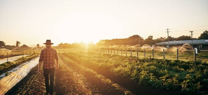 Por que o direito ambiental é importante para os dias de hoje?