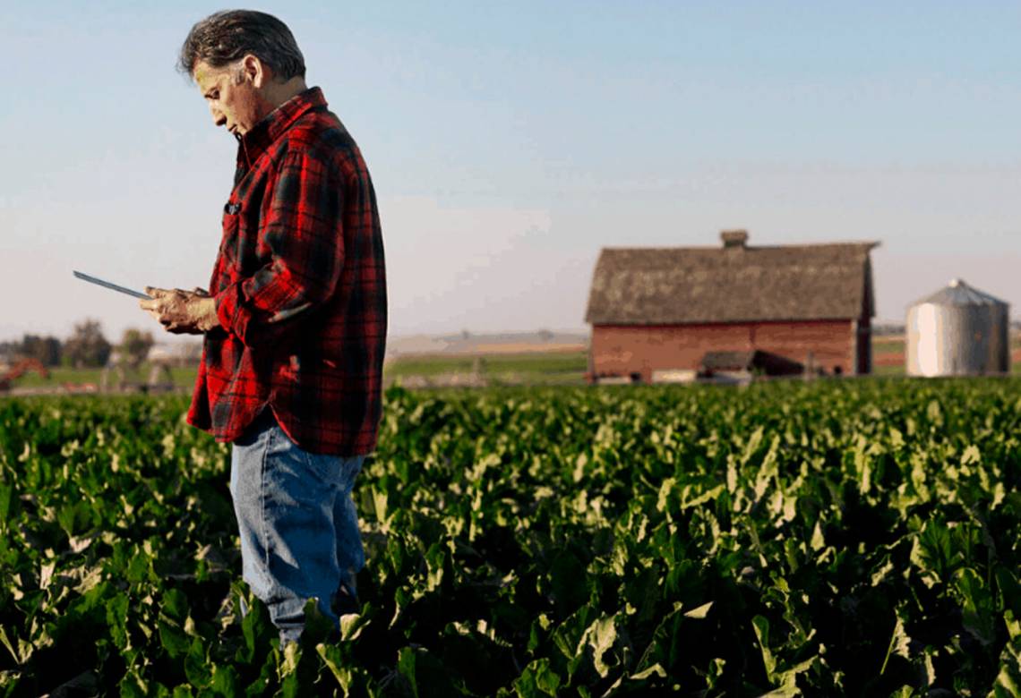 A NOVA LEI DE RECUPERAÇÃO JUDICIAL E O PRODUTOR RURAL