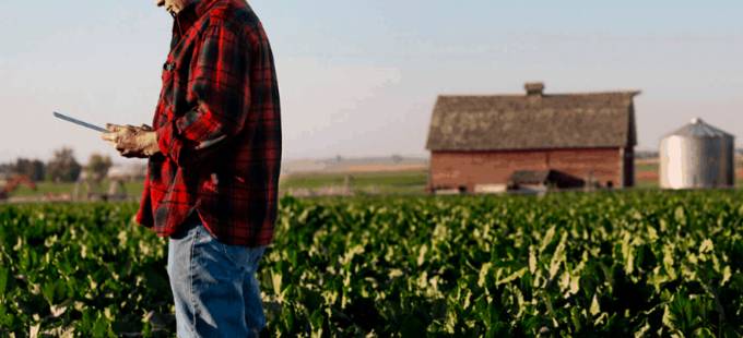 A NOVA LEI DE RECUPERAÇÃO JUDICIAL E O PRODUTOR RURAL