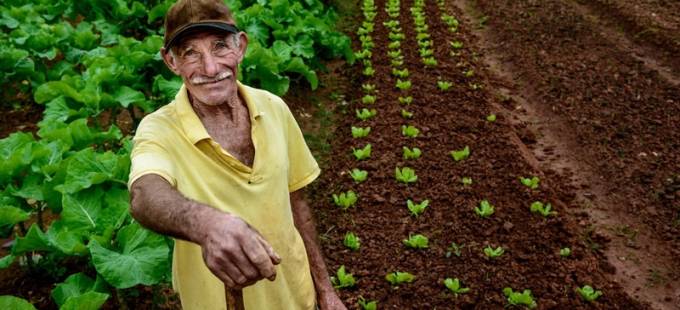 As mudanças trazidas na Reforma da Previdência para a aposentadoria rural