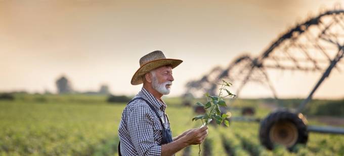 A prorrogação das dívidas de crédito rural para o agronegócio diante do Coronavírus